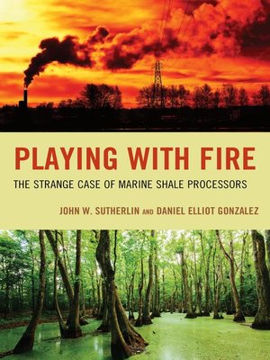cover image of Playing With Fire